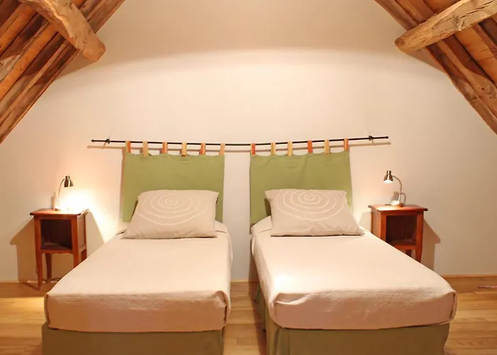 Rustique A Avec Animaux Acceptes - Fr-1-489-611 * Neuilly-le-Réal